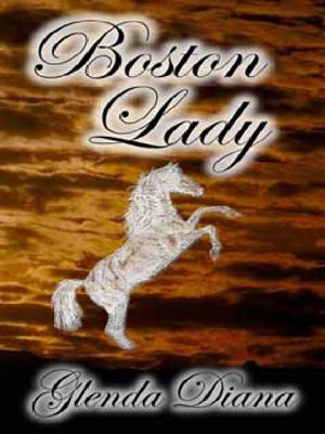 cover image of Boston Lady
